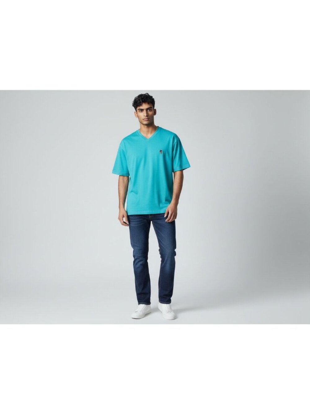 Robert Graham Damien Seafoam Classic Fit Mens V-Neck T-Shirt With Skull Embroide